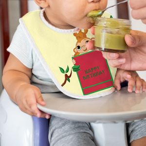 Digital Printed Baby Bib Designs Custom with Names & Images