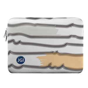 Laptop Sleeve
