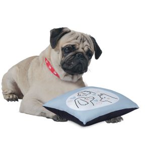 Pet Cushion Cover