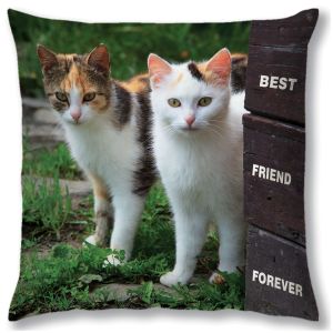 Square Cushion Cover
