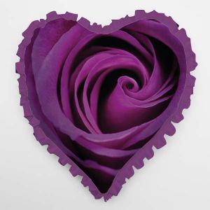 Heart Cushion Cover