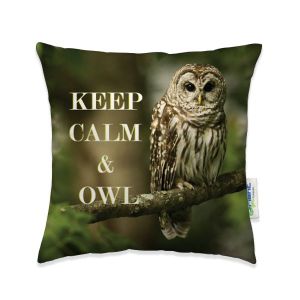 Mini Cushion