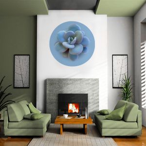 Wall Graphics