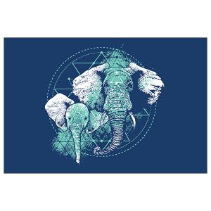 Wall Graphics