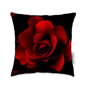 Mini Cushion