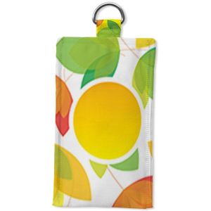 Mobile Pouch