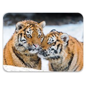 Laptop Skin