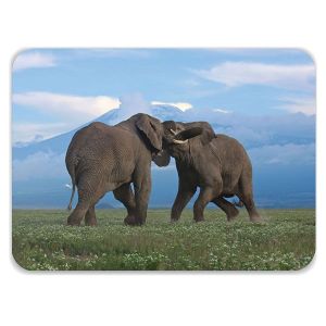 Laptop Skin