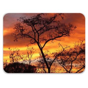 Laptop Skin