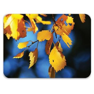 Laptop Skin