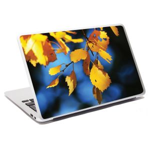 Laptop Skin