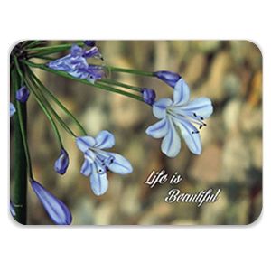 Laptop Skin