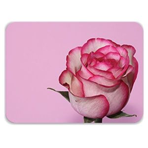 Laptop Skin
