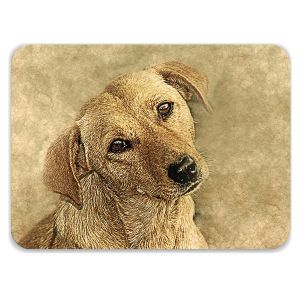 Laptop Skin