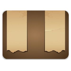 Laptop Skin