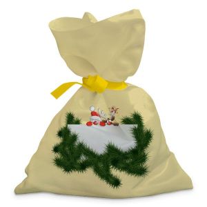 Gift Pouch