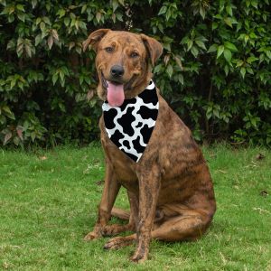 Dog Bandana