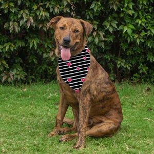 Dog Bandana