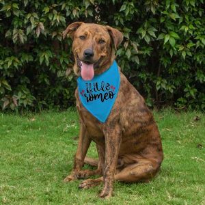 Dog Bandana