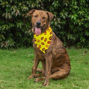 Dog Bandana