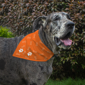 Dog Bandana