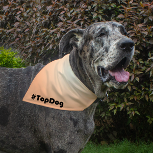 Dog Bandana