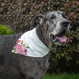 Dog Bandana