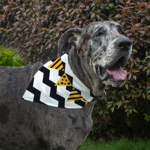Dog Bandana