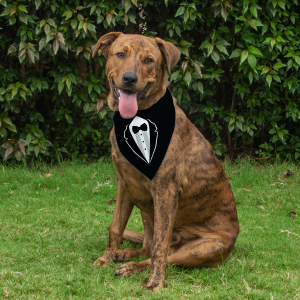 Dog Bandana