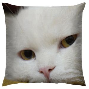 Pet Cushion Cover