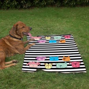 Pet Blanket