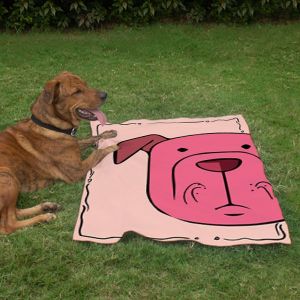 Pet Blanket