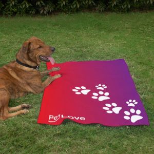 Pet Blanket