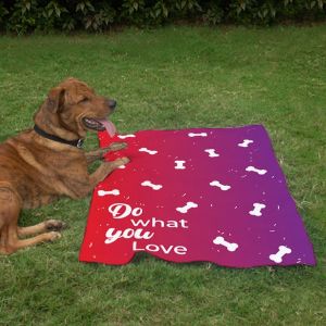 Pet Blanket