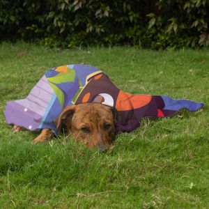 Pet Blanket