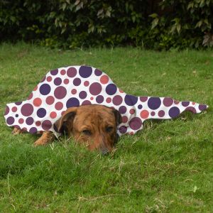 Pet Blanket