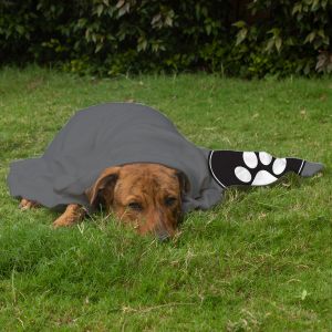 Pet Blanket