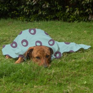 Pet Blanket