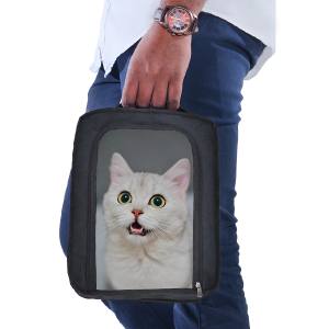 Shoe Bag 