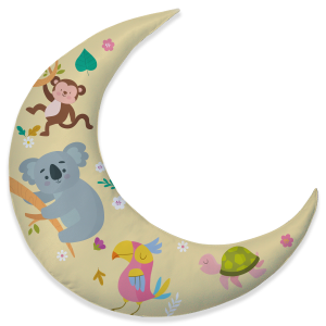Moon Cushion