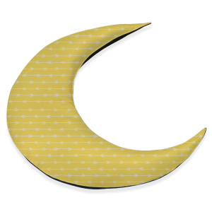 Moon Cushion
