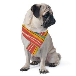 Pet Scarf