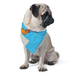 Pet Scarf