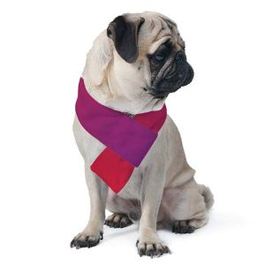 Pet Scarf