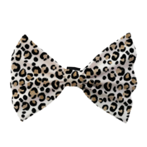 Pet Bow 