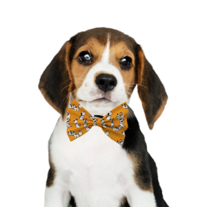Pet Bow 