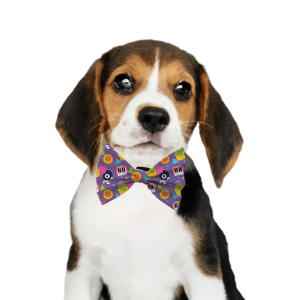Pet Bow 