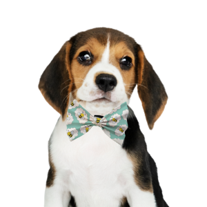 Pet Bow 