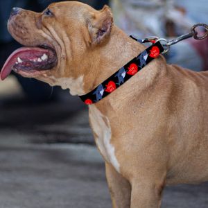 Shark Love Bite Pet Belt