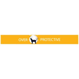 Over Protective Yellow Pet Belt adaptation